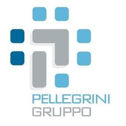 Pellegrini Srl