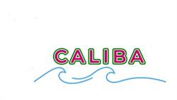 Caliba Viaggi