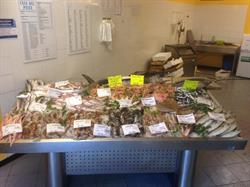La Casa Del Pesce