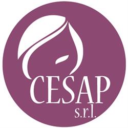 Scuola CeSAP