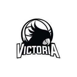 AD Victoria Pallacanestro