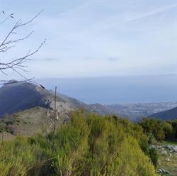 Comune di Ceriale