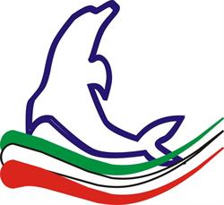 Dolphin Soluzioni Informatiche