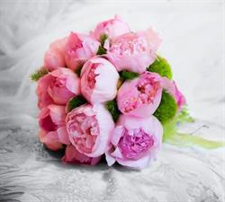 Fiore Giuseppina