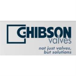 Ghibson Italia