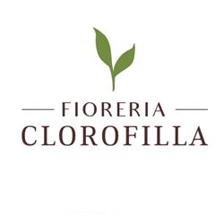 Fioreria Clorofilla Di Algisi Elisabetta & C. Snc