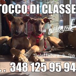 Il Tocco di Classe