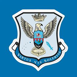 Istituto di Vigilanza Casalino S.r.l.