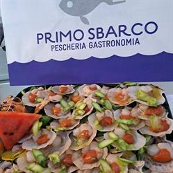 Ittica Marcato SAS