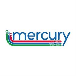 Mercury s.r.l.