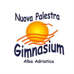 Nuova Palestra Gimnasium S R L