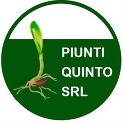 Piunti Quinto SRL