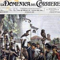 Associazione Sagra dei Osei di Cisano