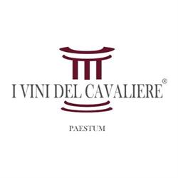 I Vini del Cavaliere - Casa Vinicola Cuomo