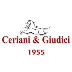 Carrozzeria Ceriani e Giudici S.r.l.