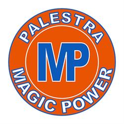 Palestra Magic Power S.S.D. s.r.l.