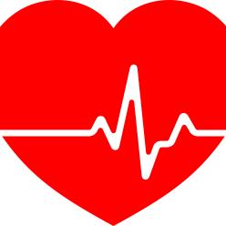 Varedo Soccorso Cooperativa Sociale ONLUS