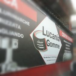 Lucania Gomme