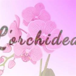 L'Orchidea Di Nencini L'Orchidea Di Nencini Patrizia