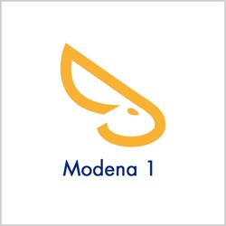 Solo Affitti Modena 1