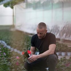 Floricoltura Pigazzi VENDITA ALL'INGROSSO