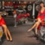Gallery Cliente