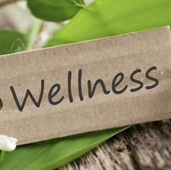 P.T. Lab Nora Bellano Wellness