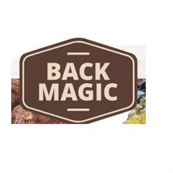 Back Magic S.R.L.