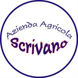 Azienda Agricola Scrivano Vincenzo S.A.S. di Scrivano V. & C.