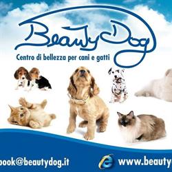 Beauty Dog
