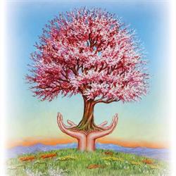 Albero della Vita by Erboristeria Natura e Salute