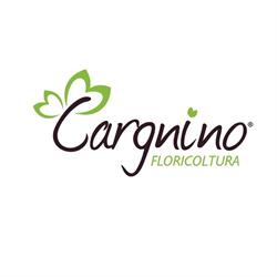 Cargnino Floricoltura