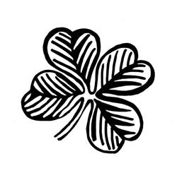 SIGNORELLI FLOWERS & COFFEE
