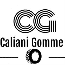 Caliani Gomme Di Caliani Giorgio
