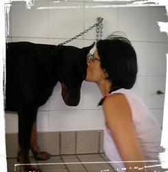Francy For Pet Di Corvi Francesca