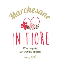 Marchesane In Fiore