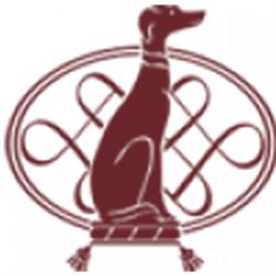 Hotel Palazzo Pacini