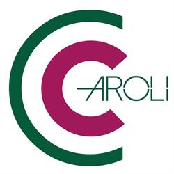 Caroli Elettronica di Caroli Laura & c. sas