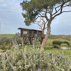 Agriturismo La Piantata