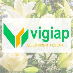 Vigiap Allestimenti Eventi Di Allocca Paolo