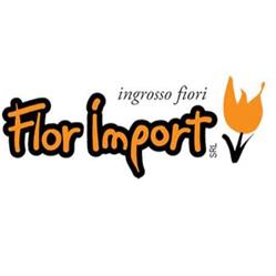 FLOR IMPORT SRL