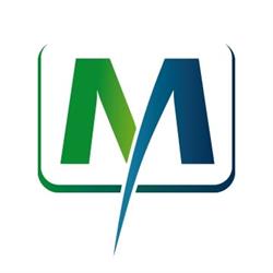 ACHITEX MINERVA S.P.A.