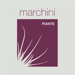 MARCHINI PIANTE SRL