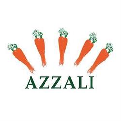 AZZALI S.R.L.
