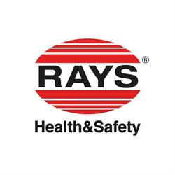 RAYS  S.P.A.