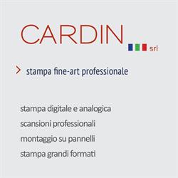 Cardin Fine Art