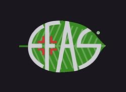 Efas srl