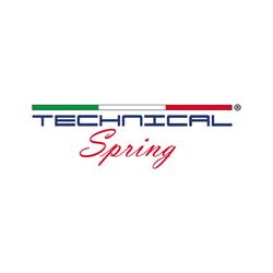 TECHNICAL SPRING DI CROVINI ANDREA - MOLLE