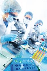 FONDAZIONE ISTITUTO INSUBRICO DI RICERCA PER LA VITA