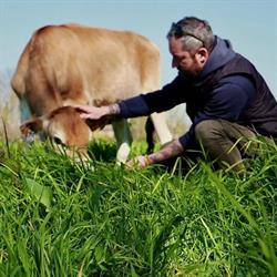 EURO HOLSTEIN S.R.L.